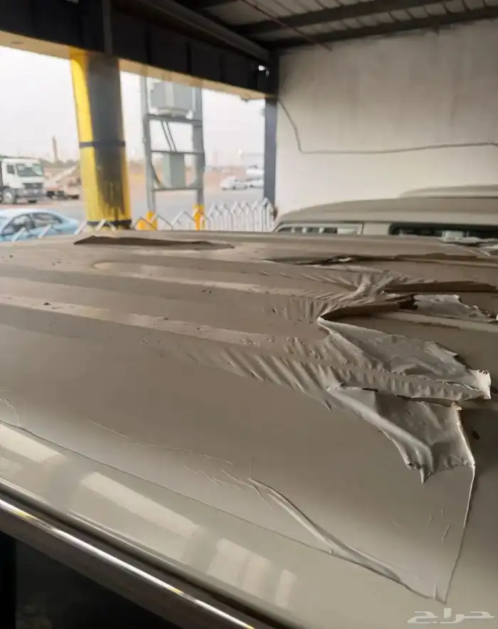 جيب ربع 2021 شبه اصفار 18
