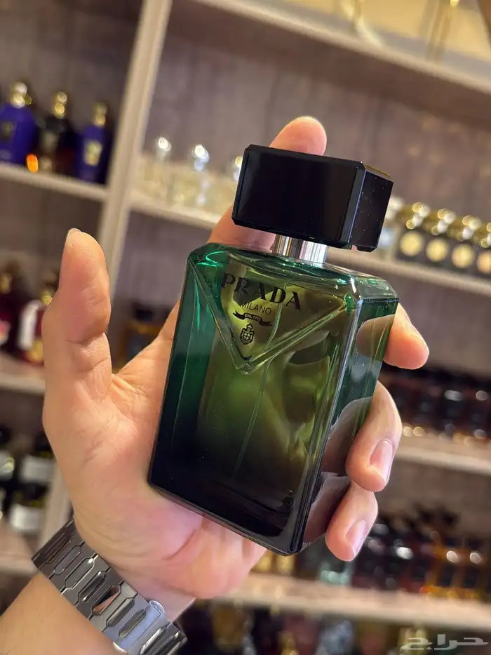 جميع العطور اصليه الحصريه النيش 17