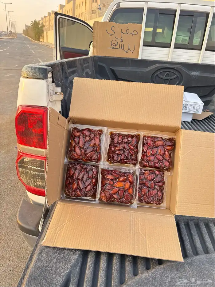 صفري بيشة 0