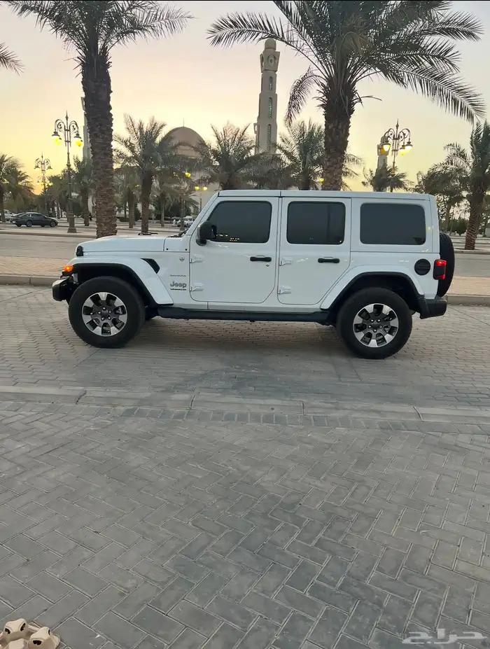 رانقلر صحارى 2023 2