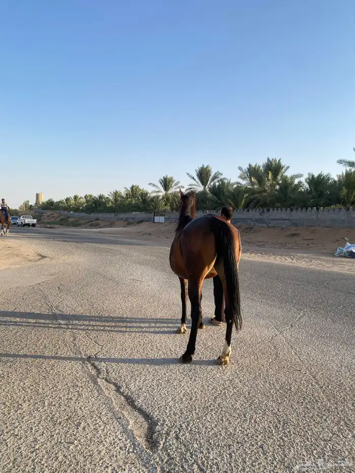 السلام عليكم ورحمة وبركاته افلح من ذكر الله وصلى على النبي 4