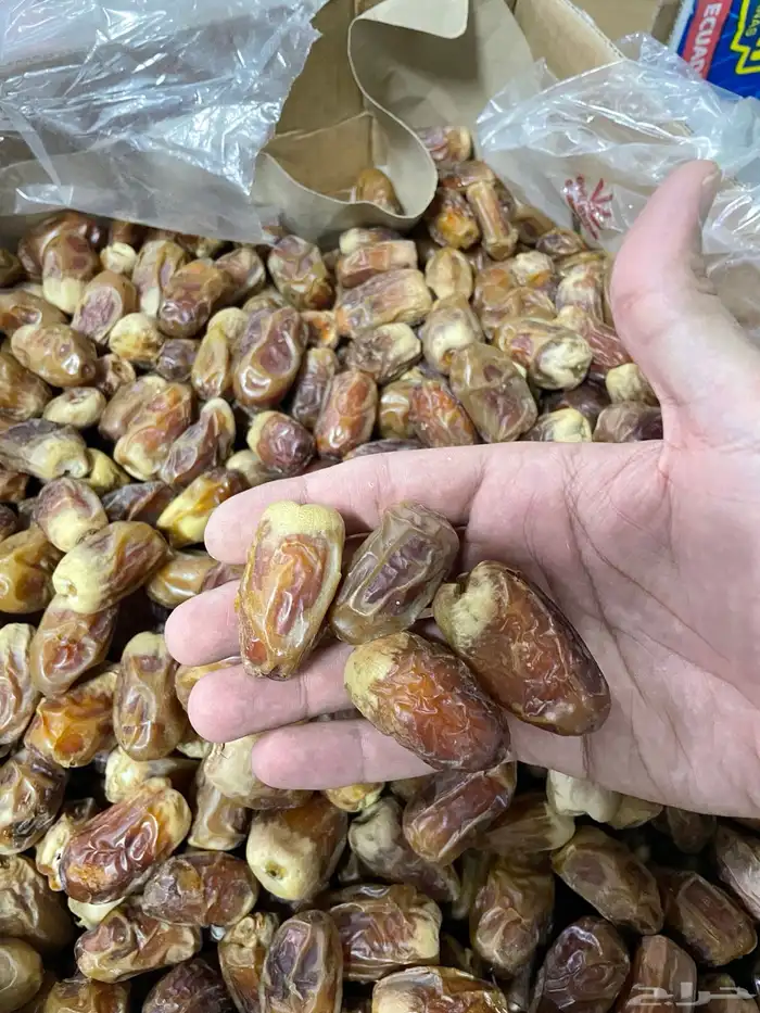 تمر صقعي 0