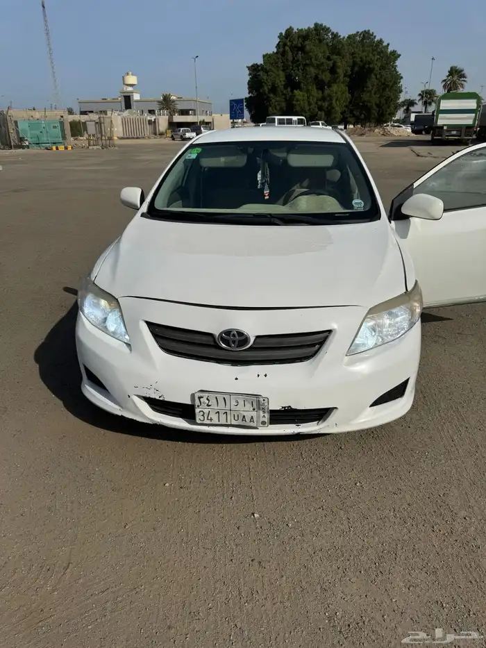 كوريلا 2008 18