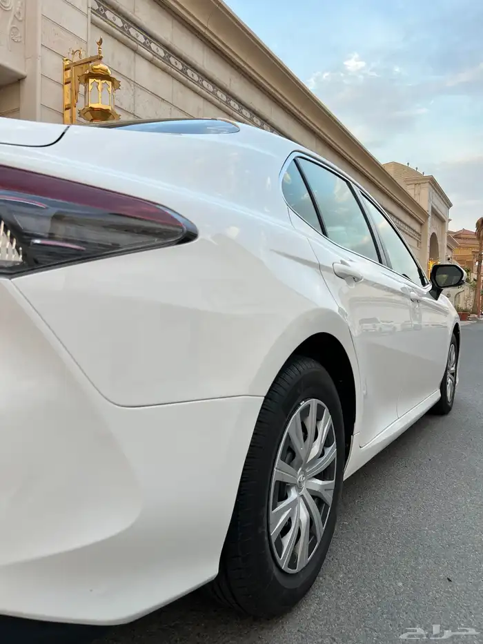 تم البيع الله يبارك للمشتري . 18