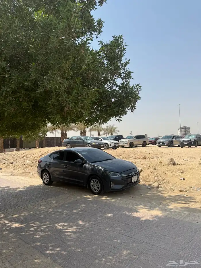 النترا 6