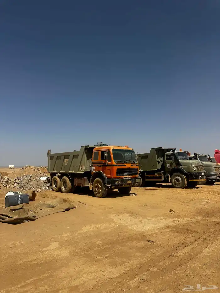 معدات لليجار الشهري الاسبوعي اليومي شيول قلابات دينه ونش. 14