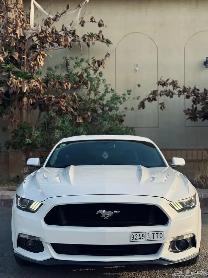 فورد موستنج GT V8 2015 قير عادي 5