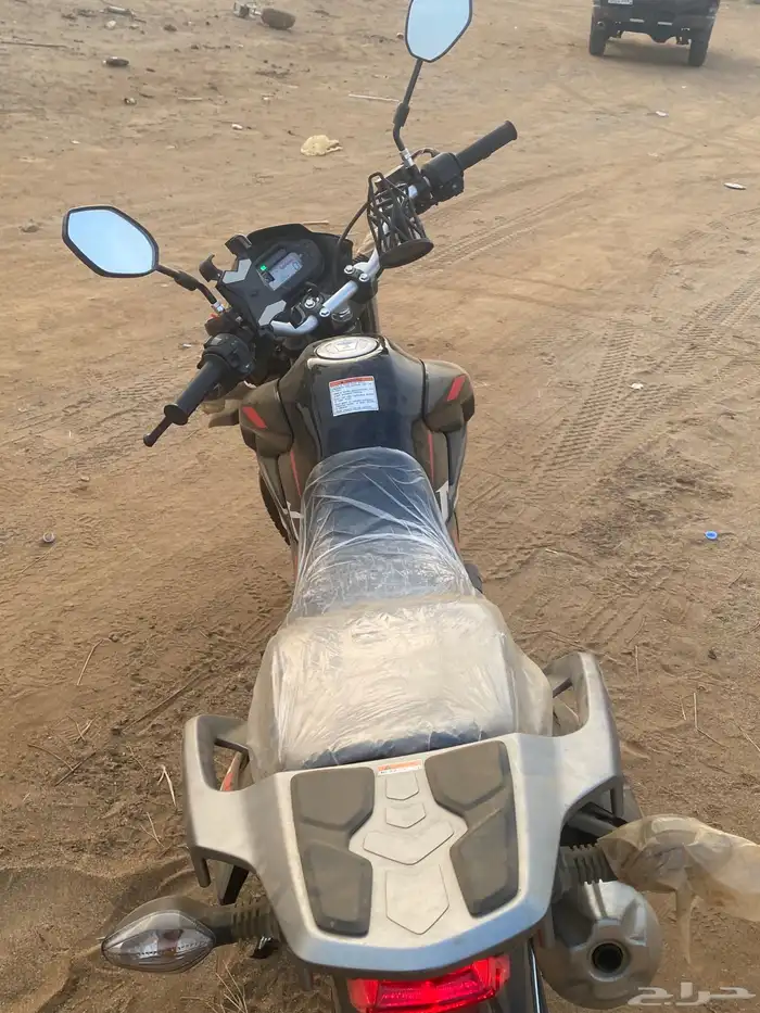 دباب صحراوي 0