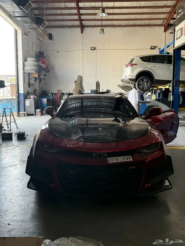 كبوت ZL1 0