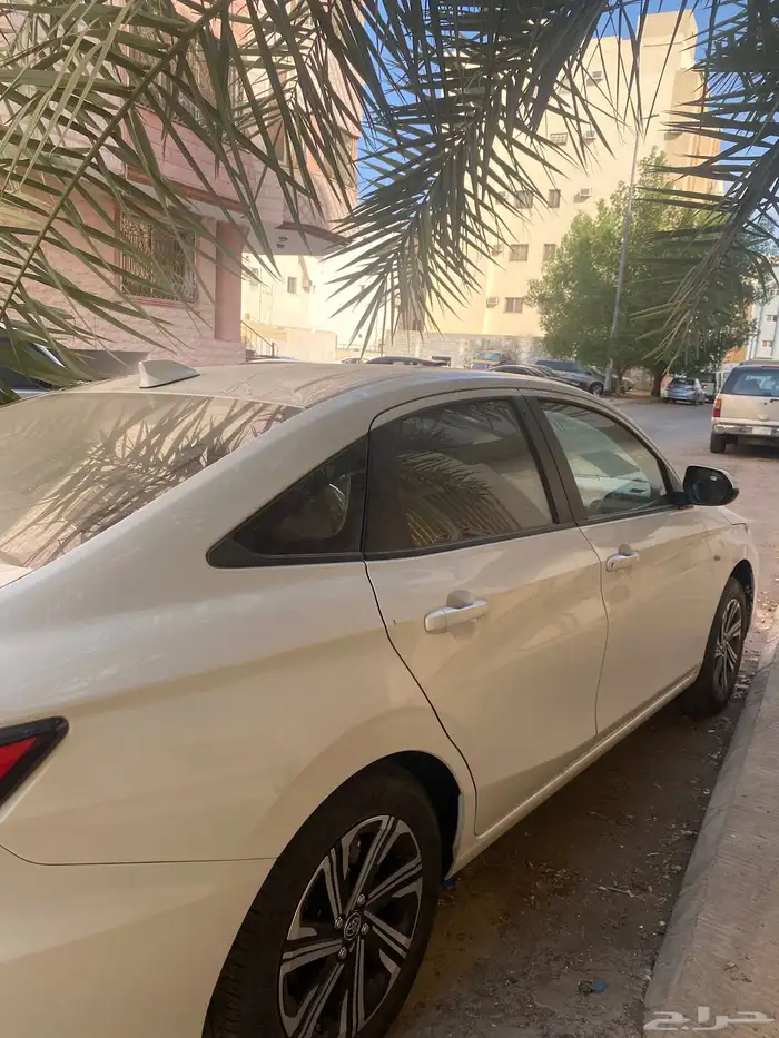 يارس وكاله ابيض 0