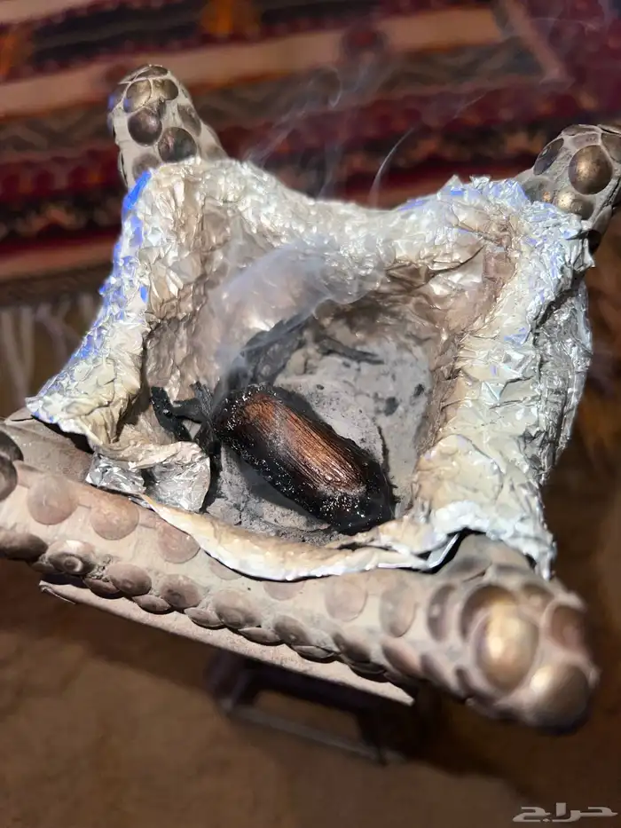 عود مروكي محسن فاخر 2