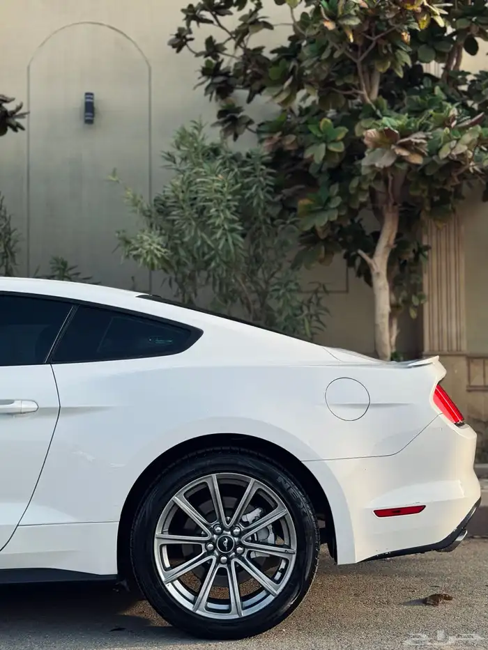 فورد موستنج GT V8 2015 قير عادي 7