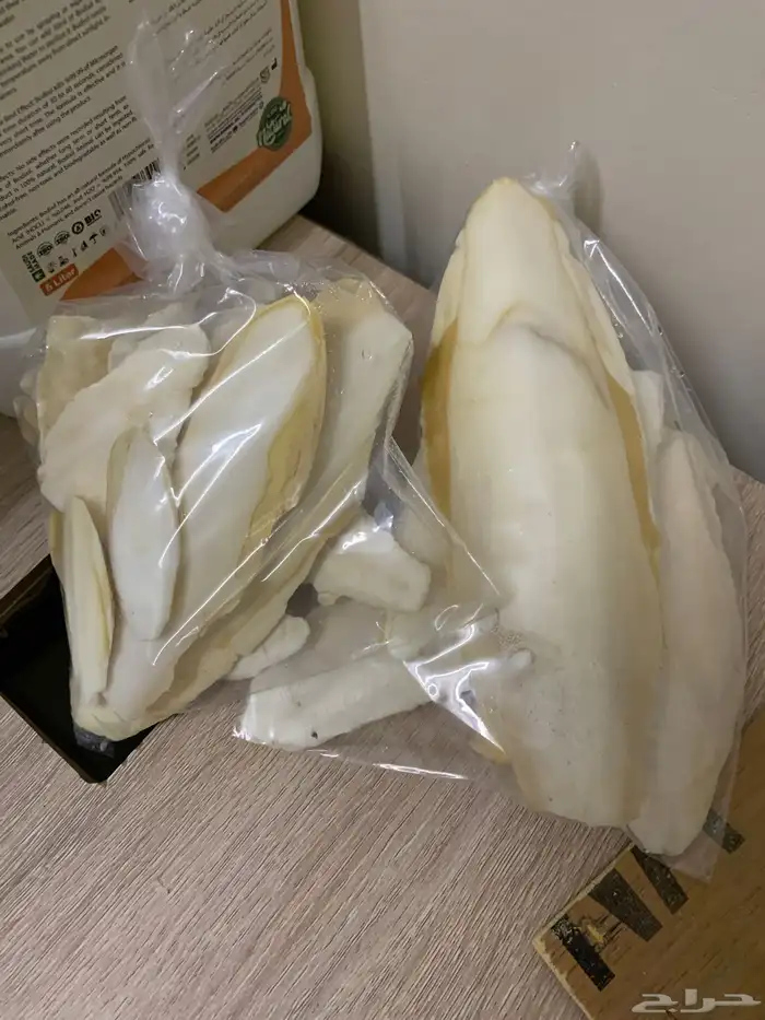 عظم حبار نظيف ومنقع وتنظيف بمواد خاص تشيل البكتيريا 0