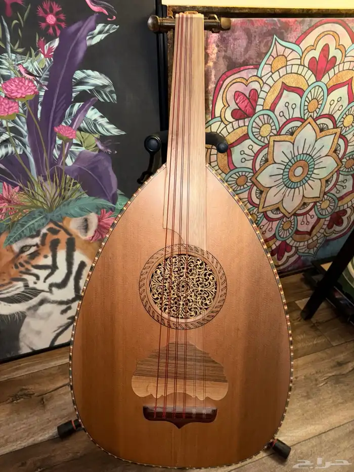 عود زرياب للبيع 4