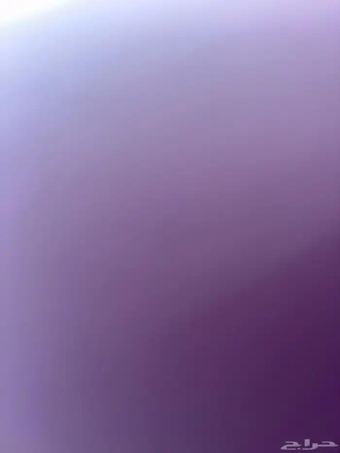 قط سكوتش 0