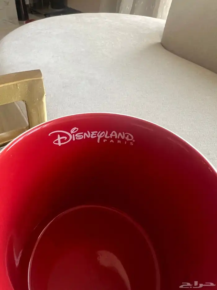 كوب مق ديزني لاند باريس حرف Z 3