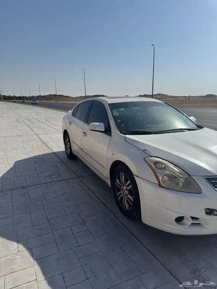 التيما 2010 1