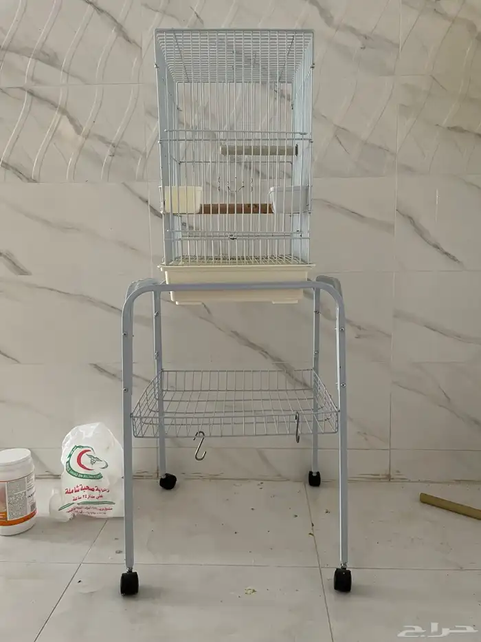 ببغاء لوري 2