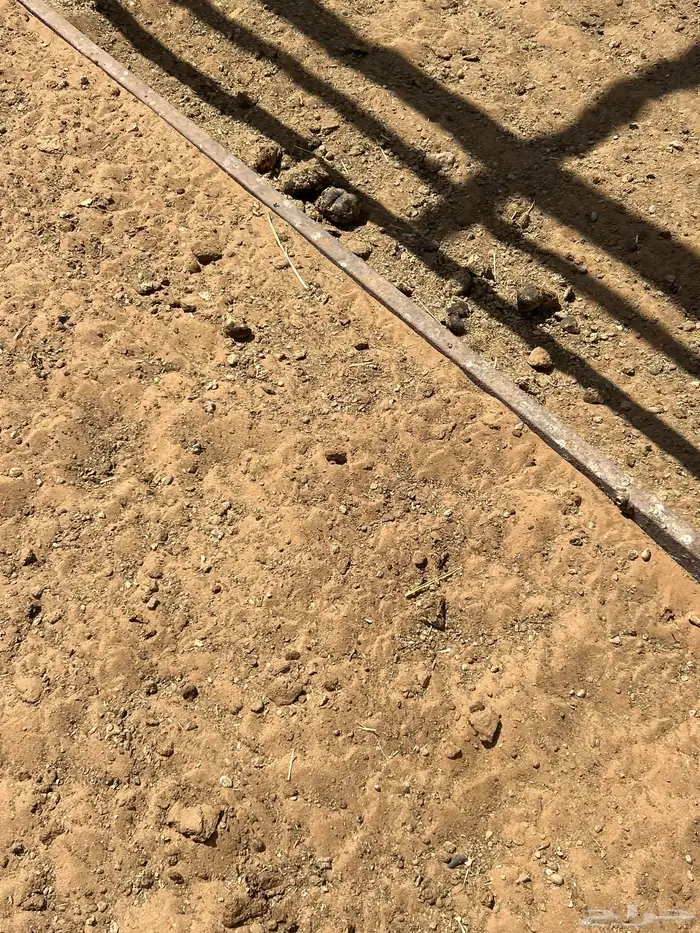 مهر عربي 0