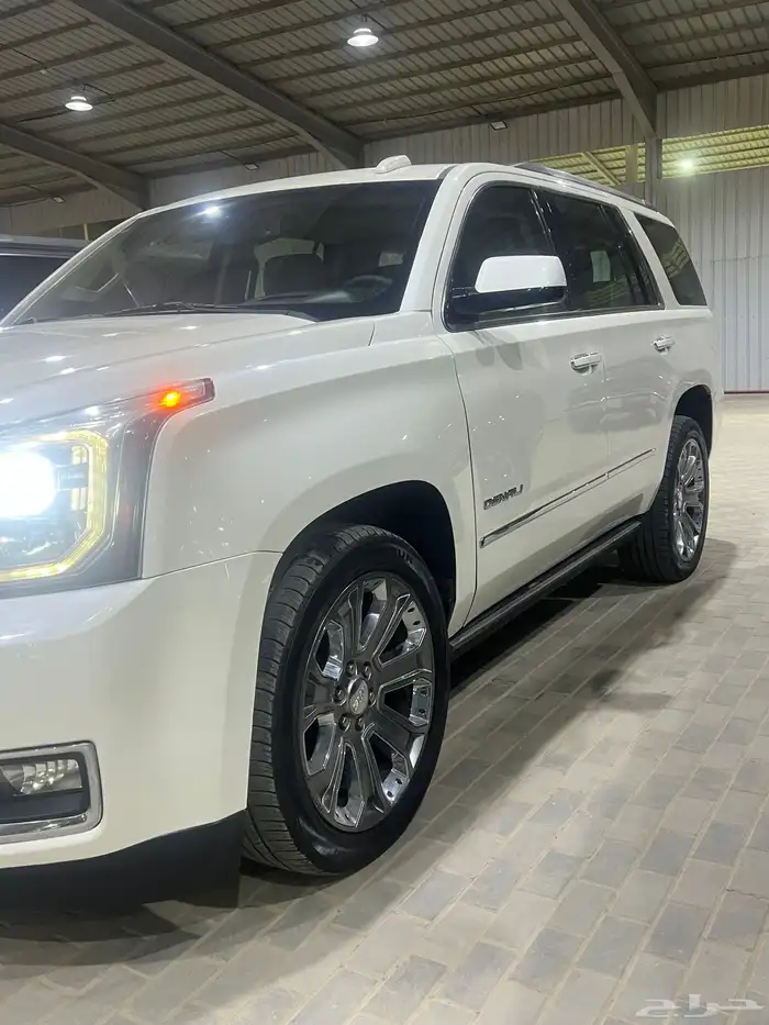 جمس دينالي 1