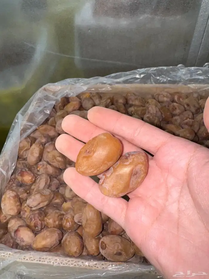 تمر خلاص اشيقر فله 3