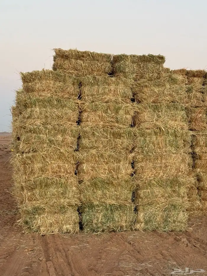 علف تبن ذره 0