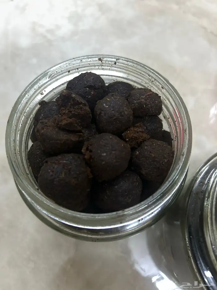 عرض على المعمول 2
