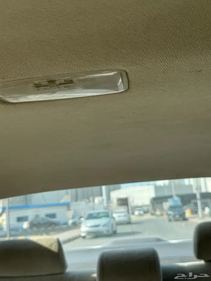 كوريلا 2008 21