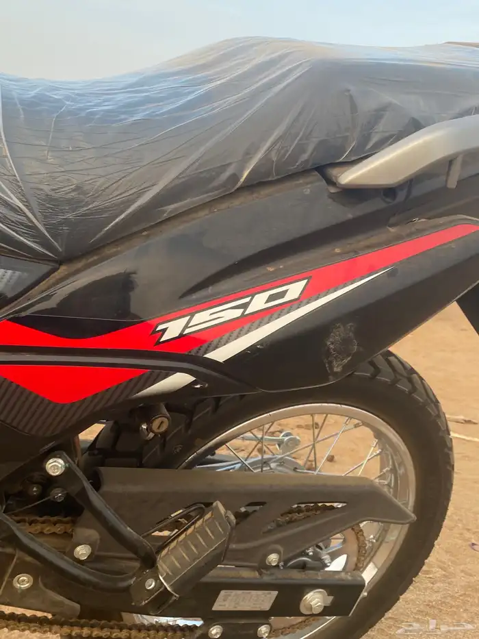 دباب صحراوي 2