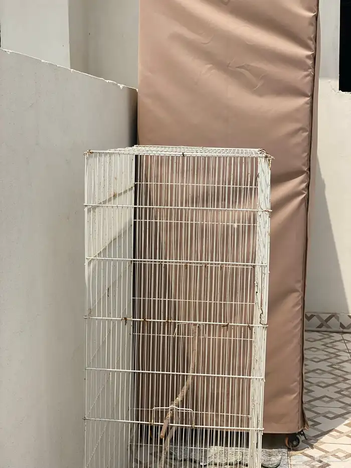 شبك طيور 2