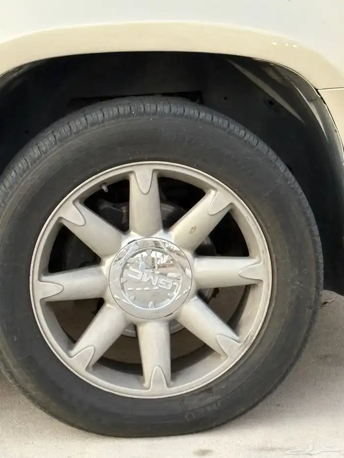 جمس دينالي 2008 10