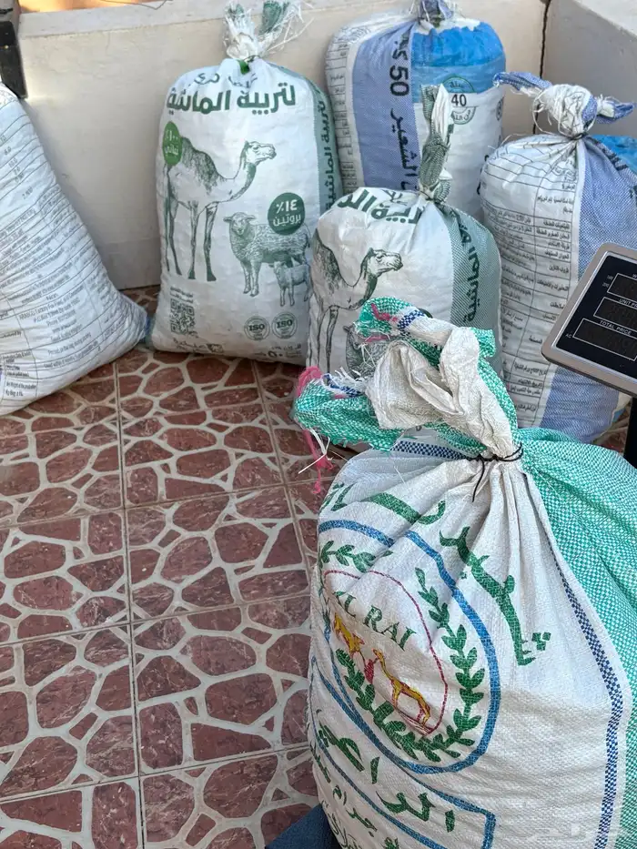 تمر علف للحلال للبيع 3