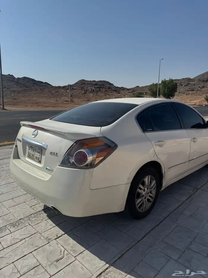 التيما 2010 2