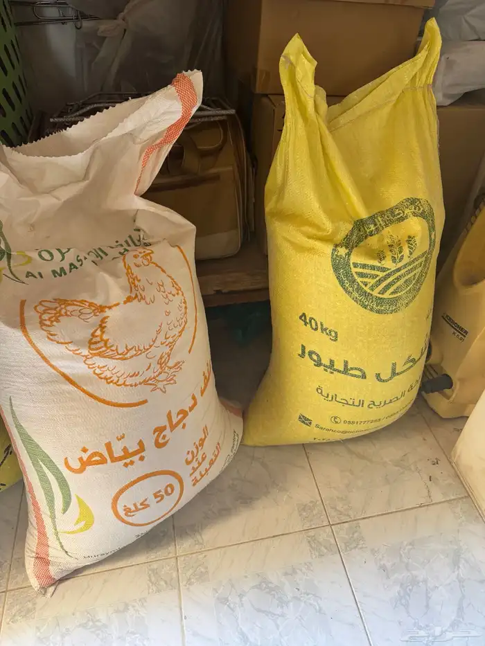 أكل لدجاج العادي والفتامين البياض 0