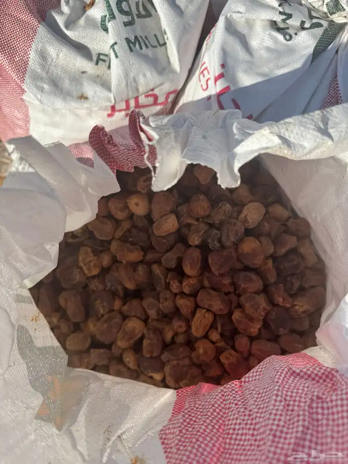 تمر علف 0