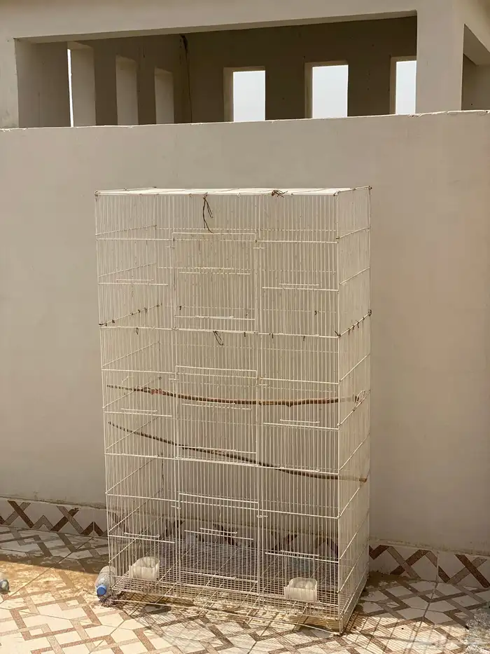 شبك طيور 0