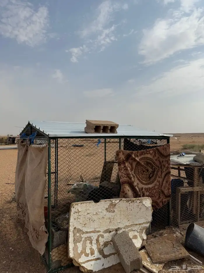 شبك بقلاوة 1
