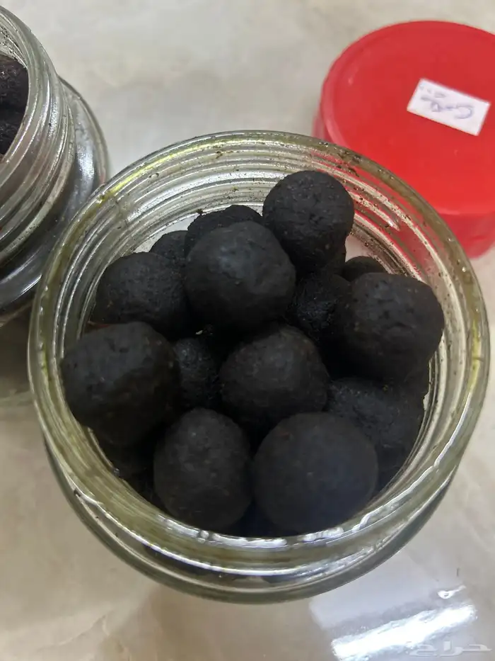 عرض على المعمول 1