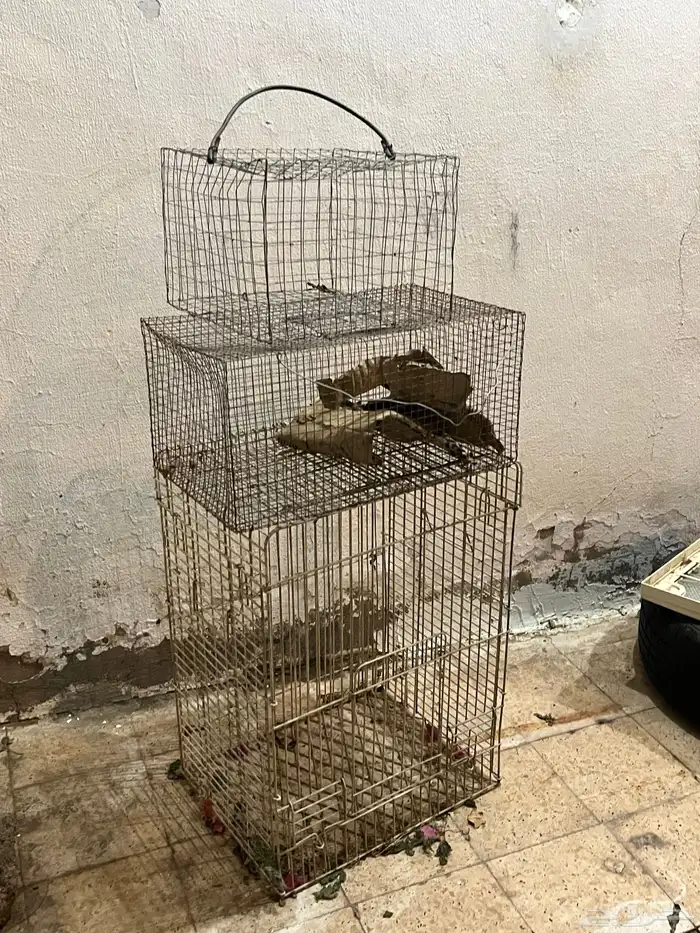 شبك ببغاء وشبوك دجاج وحمام للبيع بالعلا 0