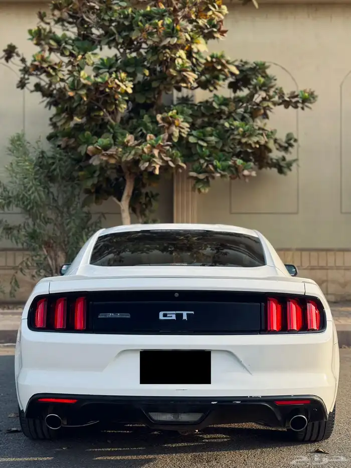 فورد موستنج GT V8 2015 قير عادي 10