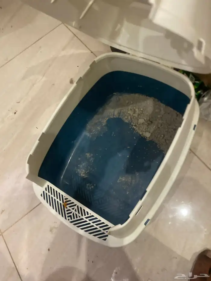 قفص 1
