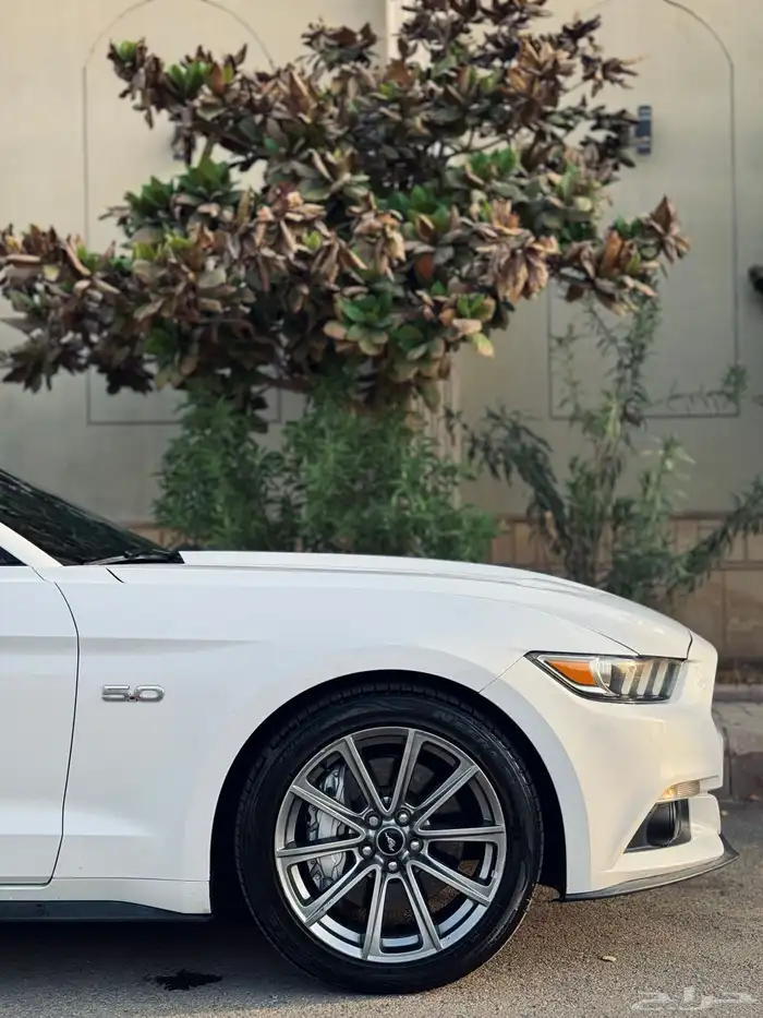 فورد موستنج GT V8 2015 قير عادي 1