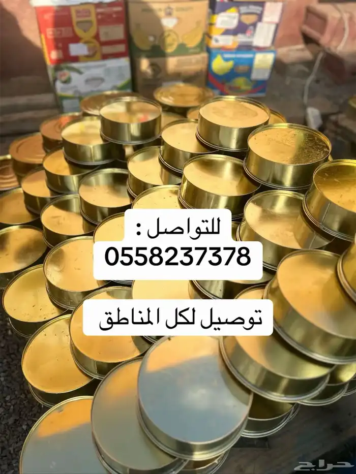 تمر صفري بيشه 6