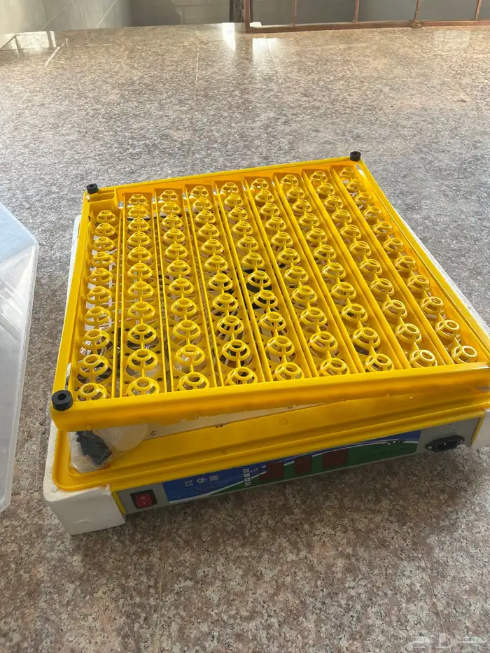 فقاسة بيض 98 2