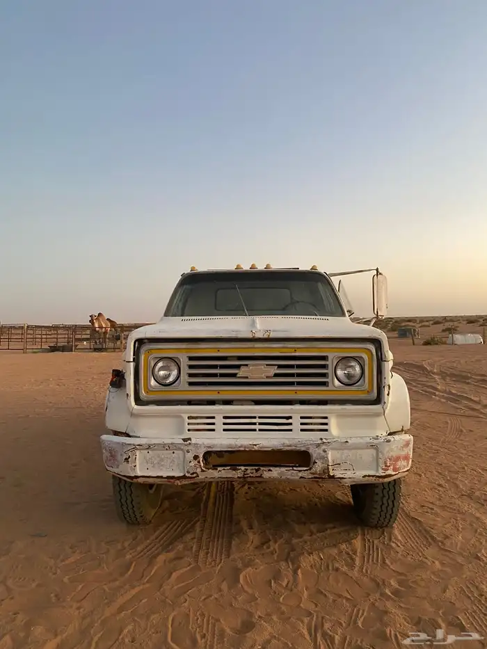 وايت جمس 2