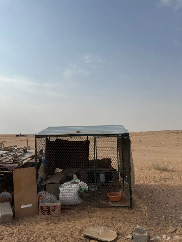 شبك بقلاوة 0