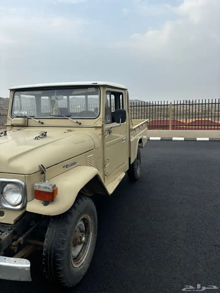 شاص 1982 ( نادر ) 2
