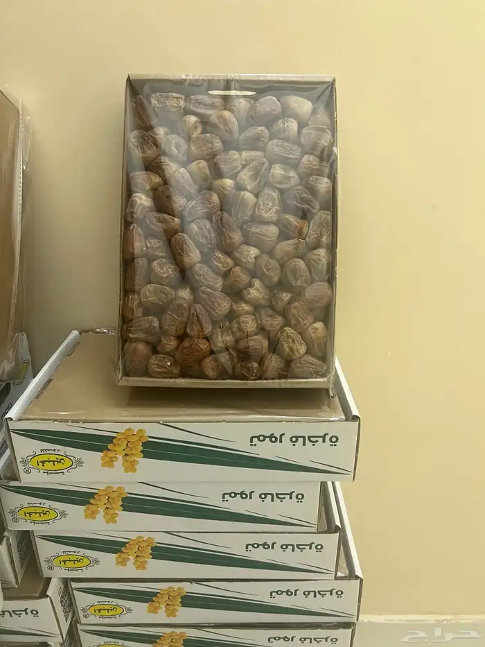 سكري مفتل حبه لينه 0
