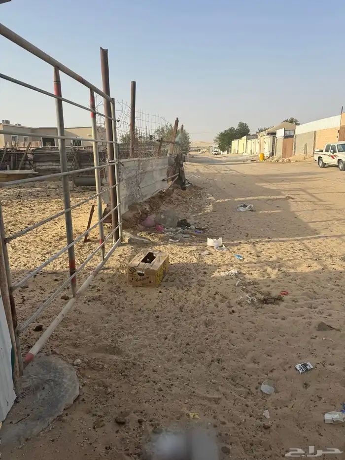للإيجار شبك في سوق الإبل 1
