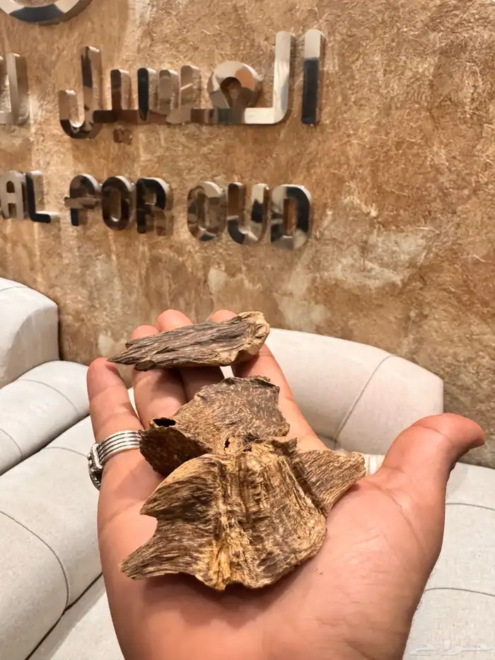 عود طبيعي بورمي غابات قديم دبل 4
